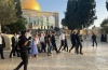 مستوطنون يقتحمون المسجد الأقصى بحماية شرطة الاحتلال