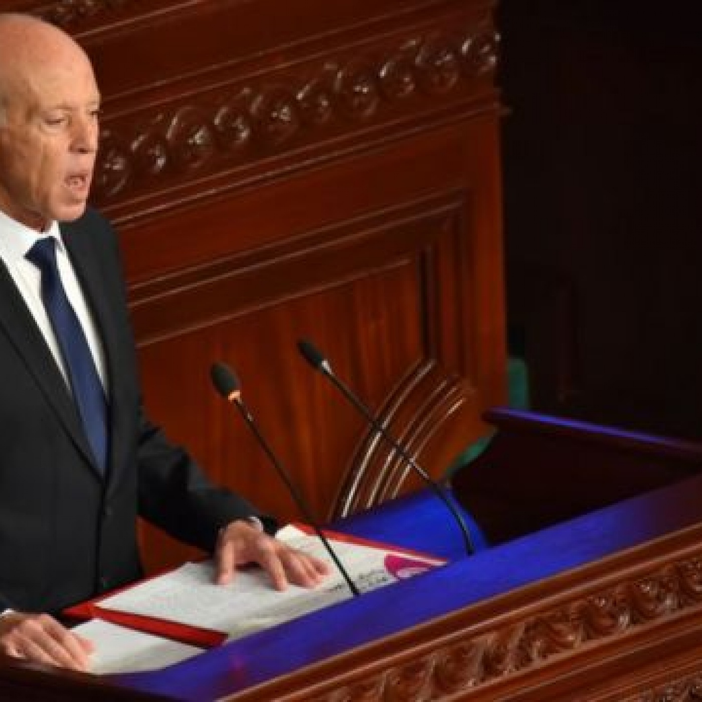 سعيدْ: المهاجرينَ يلقونَ معاملةٌ إنسانيةٌ