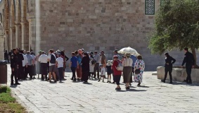 اقتحامات استفزازية.. مستوطنون يجرون مقابلات في باحات الأقصى
