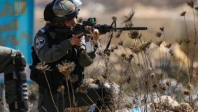 إصابة شاب بالمطاط واعتقاله بمواجهات في القدس