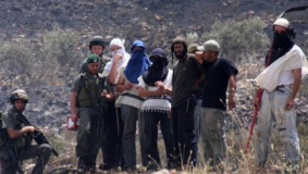 مستوطنون يعتدون على قاطفي الزيتون في الطيبة شرق رام الله