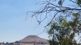 انخفاض على درجات الحرارة