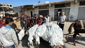 الإبادة مستمرة في الشمال .. 390 يوما من الحرب على قطاع غزة
