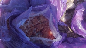 ضبط ربع طن دجاج غير صالحة للاستهلاك في نابلس