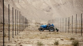 الاحتلال يصادر 3 جرارات زراعية بالأغوار