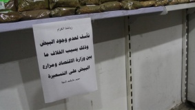 التهاب أسعار بيض المائدة في غزة نتيجة المنخفض