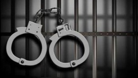 اعتقال مواطنة خلال زيارتها لشقيقها في " مجدو"