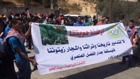 إصابات بقمع مسيرة منددة بتجريف أراضي بيت جالا