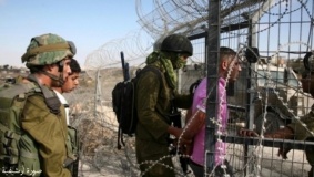 الاحتلال يعتقل 4 فلسطينيين عن الحدود مع غزة