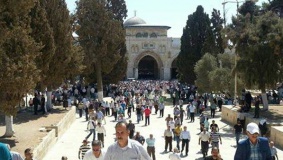 8 آلاف مصلي بالأقصى