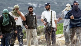 مستوطنون ينفذون جولات استفزازية شمال الخليل