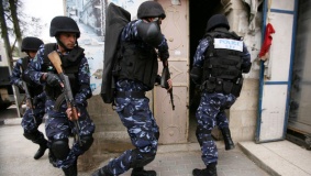 جنين: القبض على شخص بحوزته مئات بذور القنب