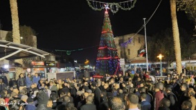 إضاءة شجر الميلاد بأريحا