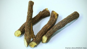 فوائد شرب عرق السوس