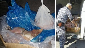 جنين: ضبط 334 كغم لحوم حبش مهربة من إسرائيل