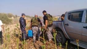 ضبط مواد كيماوية لتصنيع الدخان العربي والمعسل بجنين