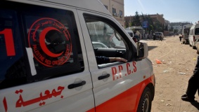 الخليل: وفاة طفل دهساً في بلدة الشيوخ