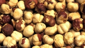 البندق يحميك من الزهايمر