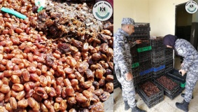 اتلاف 2.5 طن تمر غير صالح للاستهلاك في طولكرم