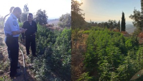 تفاصيل ضبط اضخم مشتل لزراعة المخدرات بالخليل