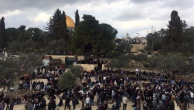 مجلس أوقاف القدس الجديد.. تنسيق فلسطيني أردني عالي