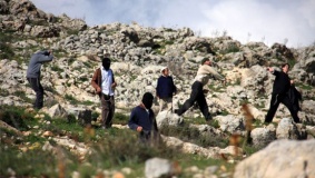 مستوطنون يهاجمون منازل المواطنين في واد الحصين بالخليل
