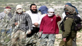 مستوطنون يضعون أسلاكا شائكة حول أرض في جنين