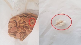 لهذا السبب.. توقيف مصنع حلويات في الخليل