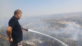 حريق يلتهم 300 شجرة زيتون قرب الطيبة غرب جنين