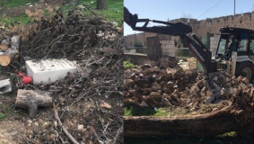 أعمال حفر وتجريف بمقبرة الشهداء في القدس