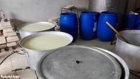إغلاق معمل ألبان غير مرخص في طولكرم