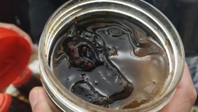 ضبط مواد غذائية فاسدة في جنين