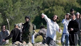 مستوطنون يعتدون على مواطنين جنوب الخليل