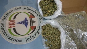ضبط كيلو ونصف مخدرات بحوزة 3 أشقاء في الخليل