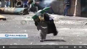 صاروخ m75 في مواجهات مدينة الخليل يتحدى الاحتلال تصوير: بالميديا