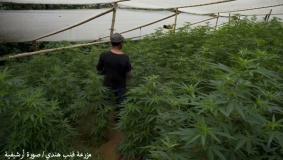 ضبط كيلو ونصف من مادة مخدرة في منزل بنابلس
