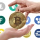 كبار صناعة العملات المشفرة: آلاف العملات المشفرة ستنهار قريبا