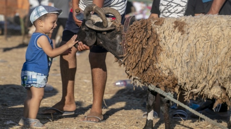 عيد الأضحى.. 17 دولة عربية متفقة على الموعد و3 تختلف