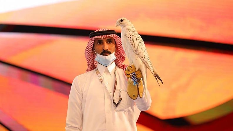 صور/ السعودية.. بيع صقر بمبلغ قياسي 