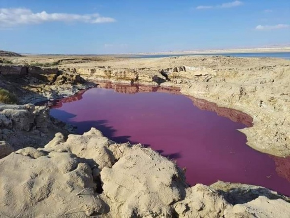 (صور) مياه حمراء في بحيرة بمنطقة البحر الميت.. الأردن تبحث عن السبب