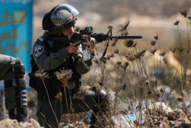 إصابة شاب بالمطاط واعتقاله بمواجهات في القدس