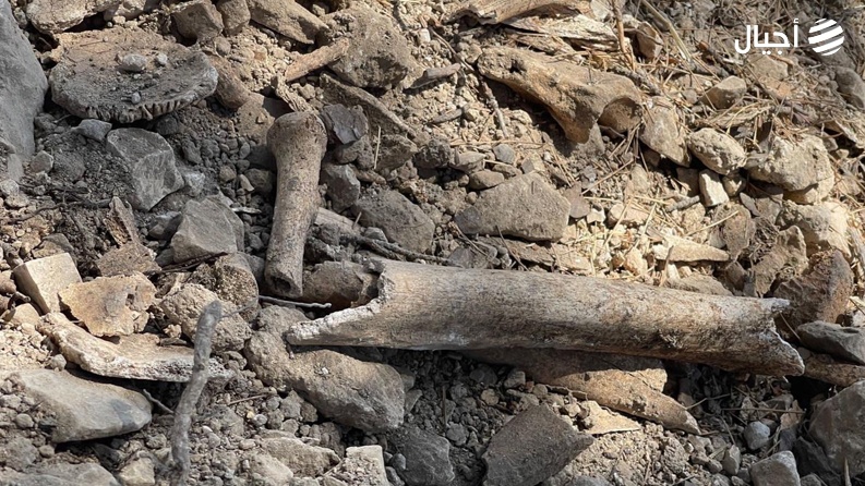 أعمال تجريف في المقبرة اليوسفية بالقدس