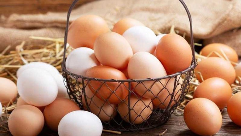 ما الفرق بين البيض الأبيض والبني؟