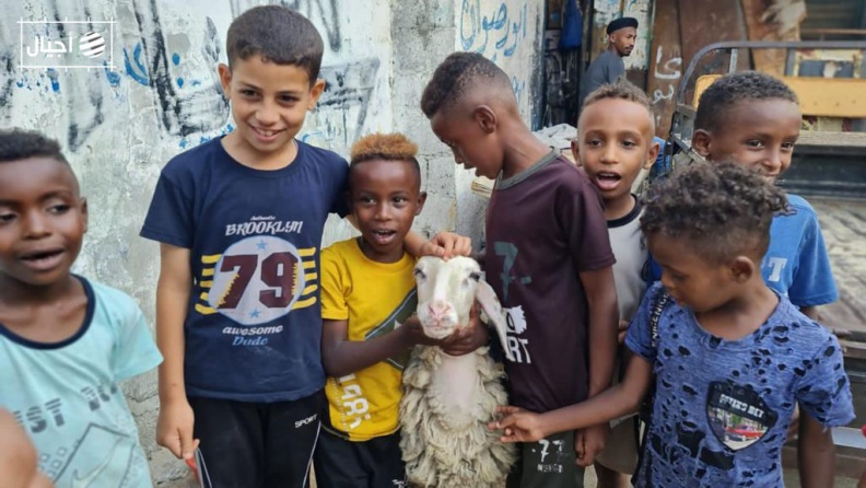 صور مبهجة.. فرحة أطفال غزة بالأضاحي.