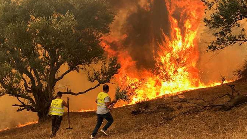 ارتفاع وفيات حرائق الغابات في الجزائر إلى 38 شخصاً