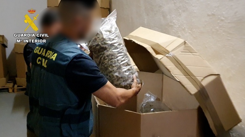 إسبانيا تضبط أكبر كمية ماريجوانا على الصعيد الدولي