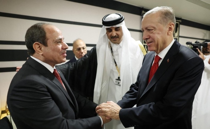 الوزير شكري يشارك في حفل تنصيب أردوغان
