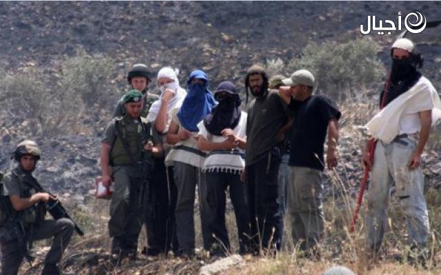مستوطنون يعتدون على قاطفي الزيتون في الطيبة شرق رام الله
