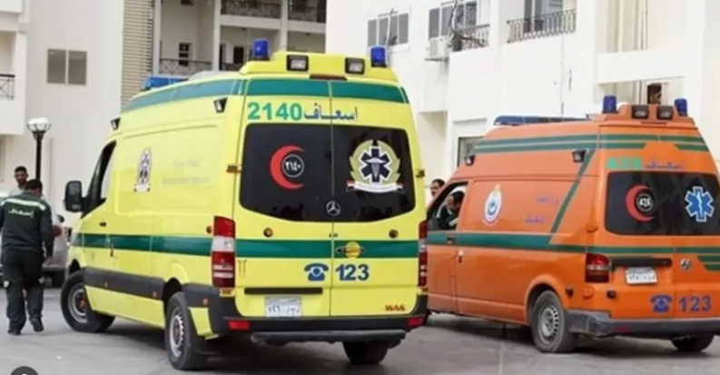 8 قتلى وجرحى في حادث مروع بمصر