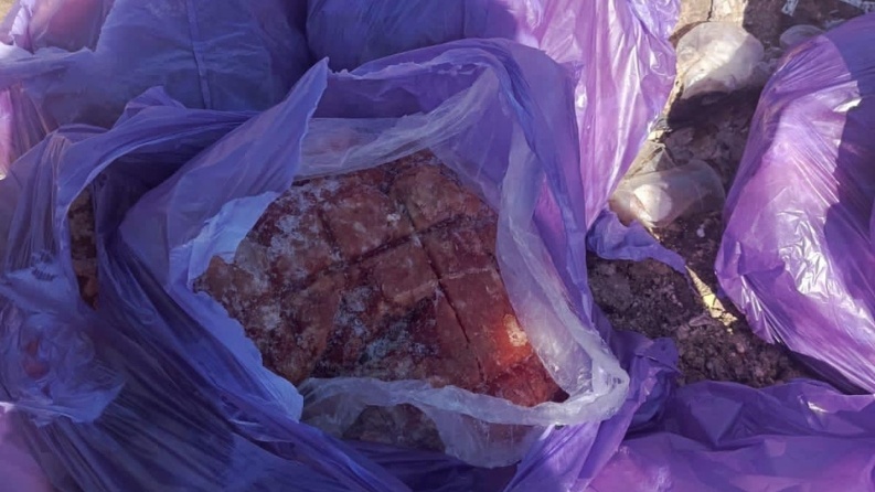 ضبط ربع طن دجاج غير صالحة للاستهلاك في نابلس
